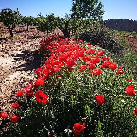 Cortijo Los Soledad El Sauco Ngoại thất bức ảnh