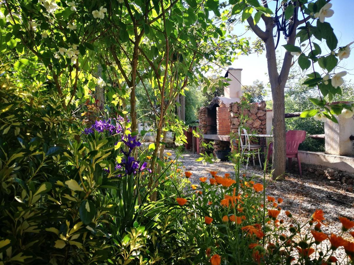 Cortijo Los Soledad El Sauco Ngoại thất bức ảnh