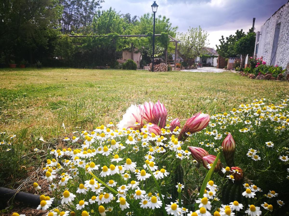 Cortijo Los Soledad El Sauco Ngoại thất bức ảnh