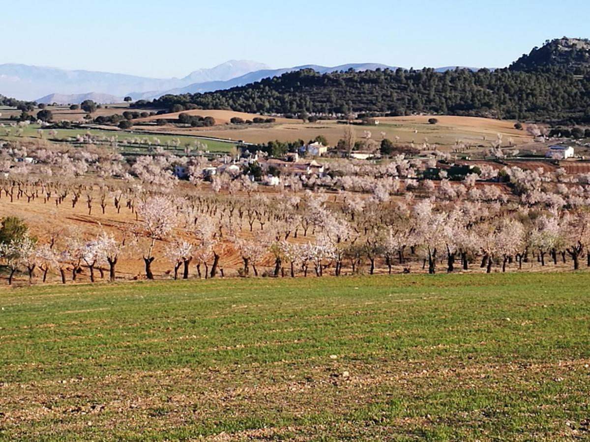 Cortijo Los Soledad El Sauco Ngoại thất bức ảnh