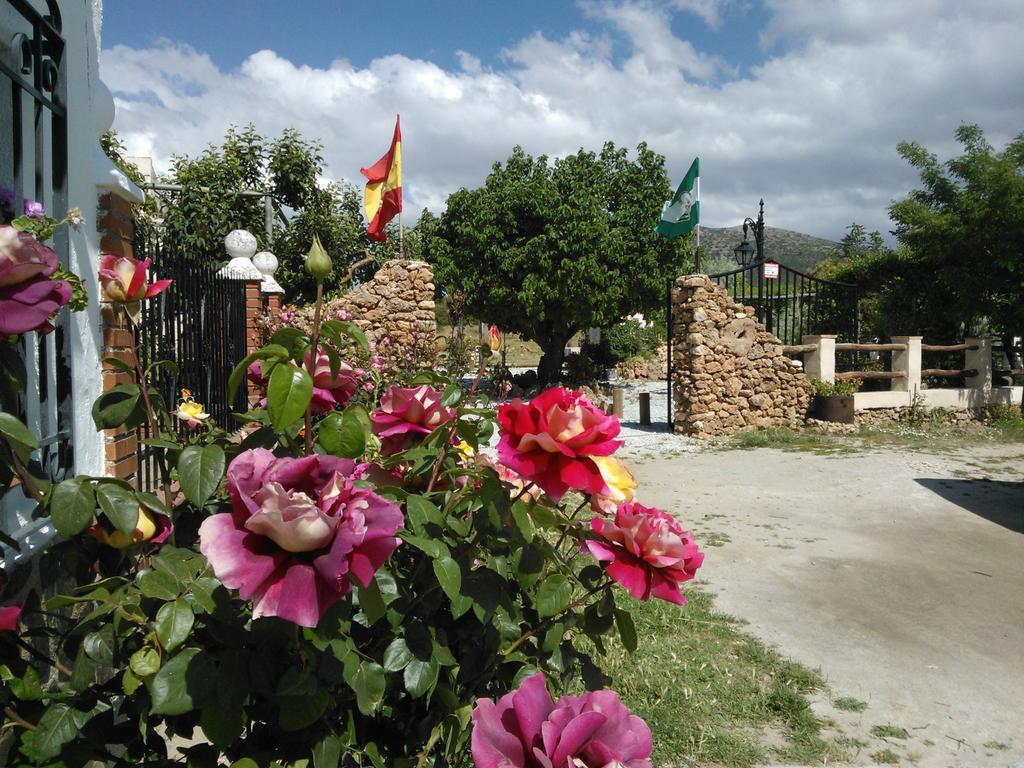 Cortijo Los Soledad El Sauco Ngoại thất bức ảnh