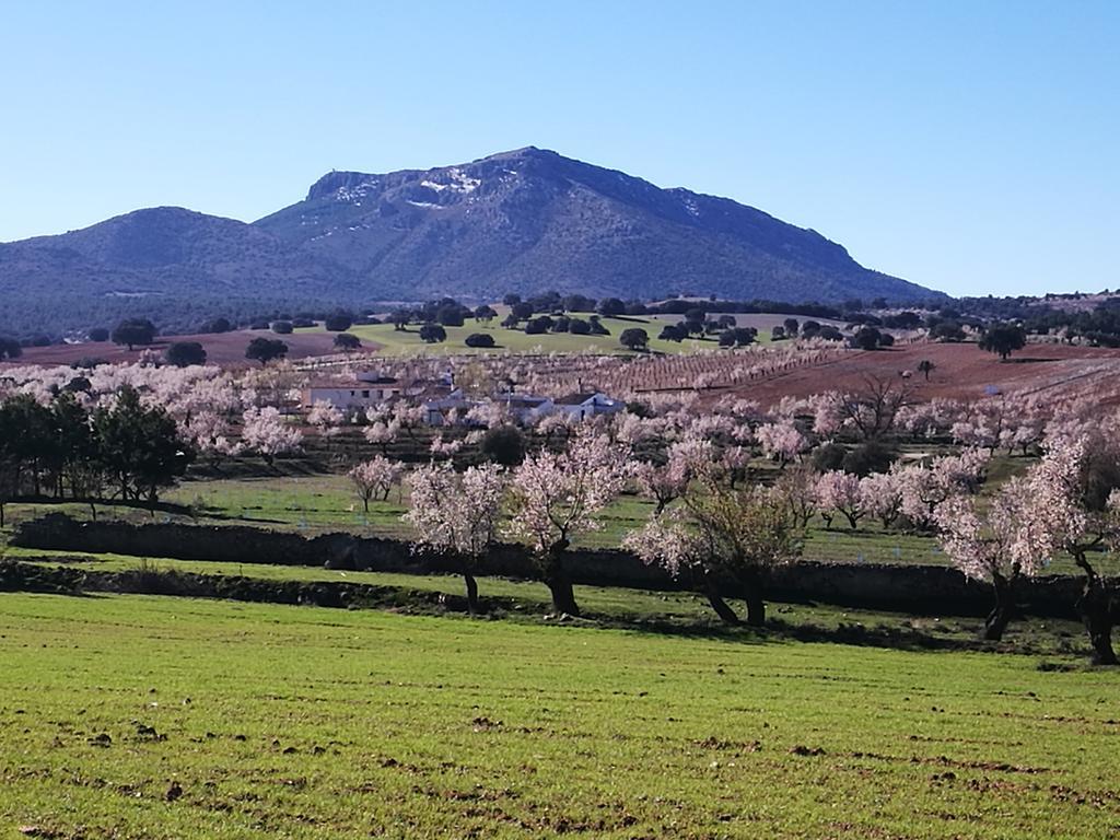 Cortijo Los Soledad El Sauco Ngoại thất bức ảnh