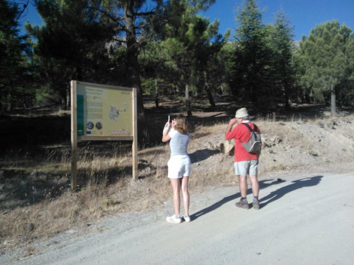 Cortijo Los Soledad El Sauco Ngoại thất bức ảnh
