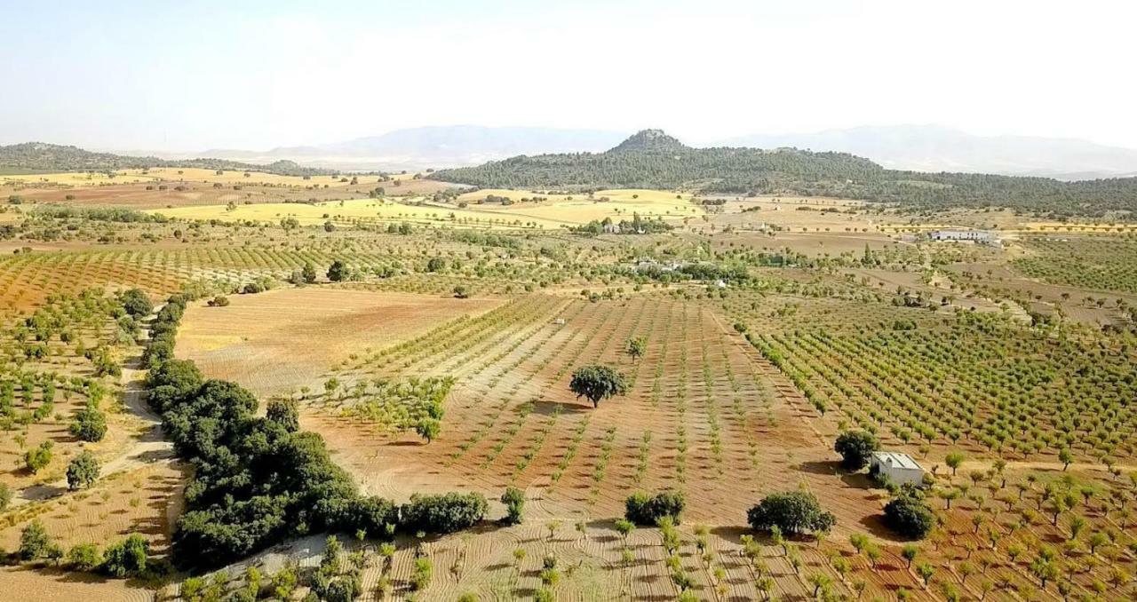 Cortijo Los Soledad El Sauco Ngoại thất bức ảnh